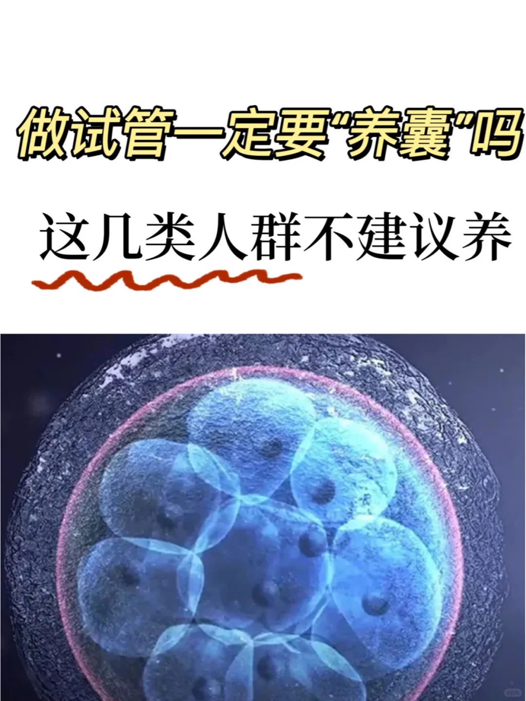 做试管一定要养囊吗？这几类人群不建议养~,中国代孕哪里好